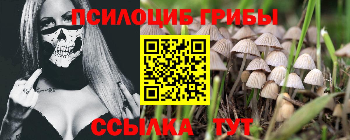 Псилоцибиновые грибы мухоморы  Псилоцибиновые грибы ЛСД  Орск  где можно купить наркотик  Вход с VPN 